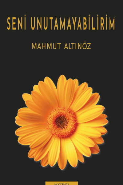 Seni Unutamayabilirim