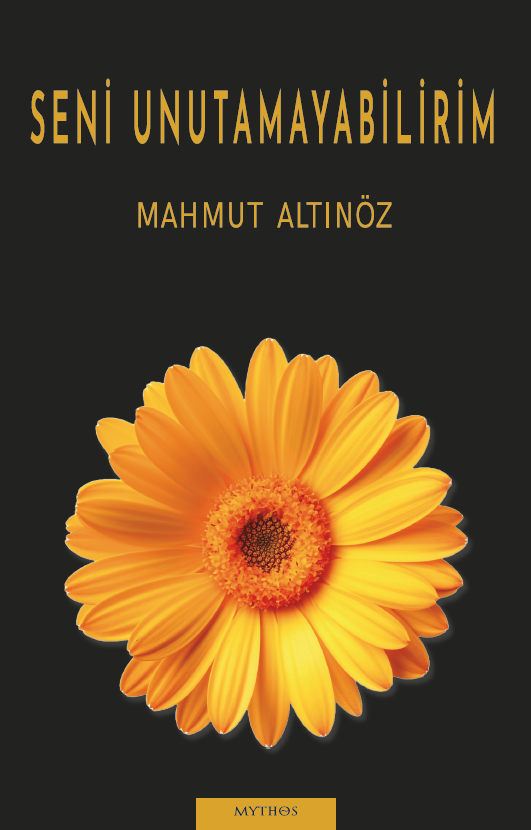 Seni Unutamayabilirim