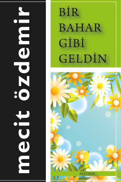Bir Bahar Gibi Geldin