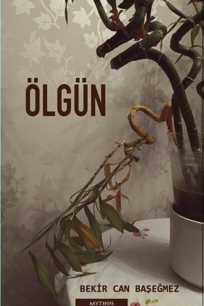 Ölgün